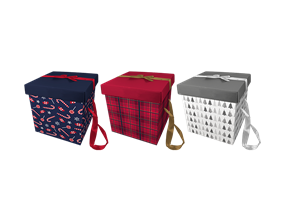 Wholesale Gift box with ribbon handles | Gem imports Ltd