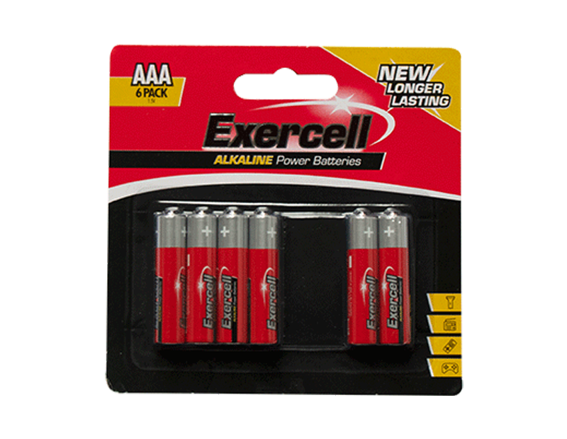 Alkaline AAA Batteries - 6 Pack