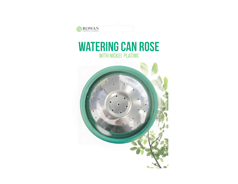 Watering Can Rose 1PK