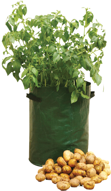 Potato Planter (no packaging)