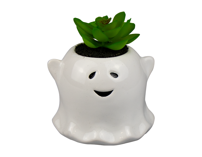 Halloween Ghost with Succulent 9cm