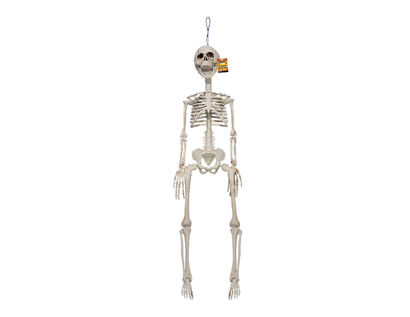 Wholesale Halloween Hanging Skeleton Decoration