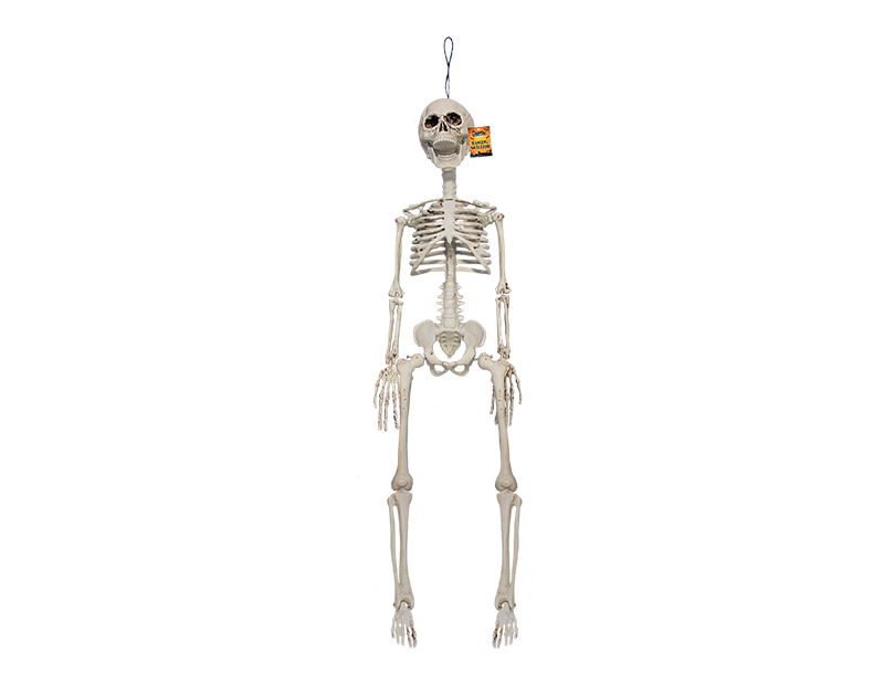 Halloween Hanging Skeleton Decoration