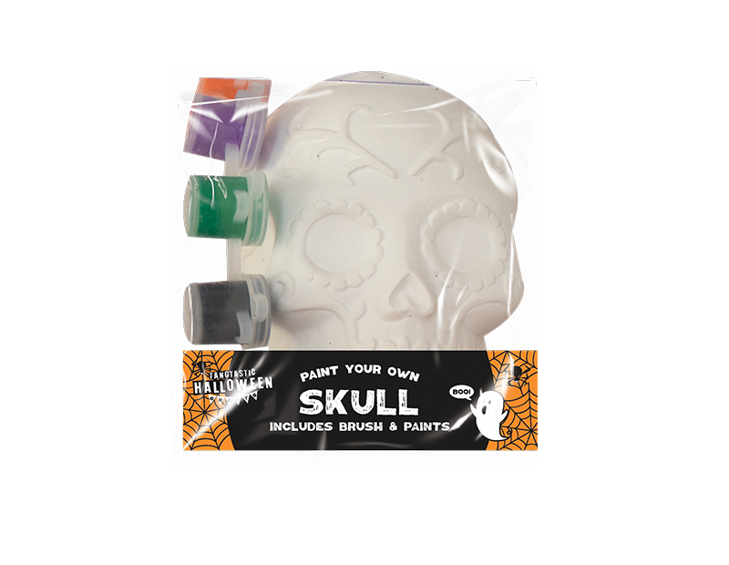 Paint Your Own Skull