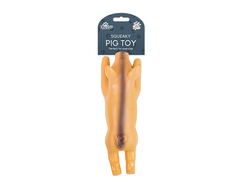 Squeaky Pig Toy