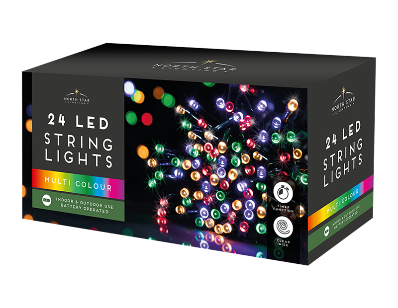 24 Led Battery Operated Lights - Multicoloured